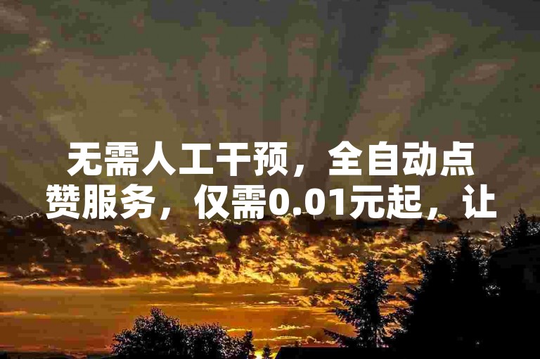 无需人工干预，全自动点赞服务，仅需0.01元起，让您的QQ瞬间获得十万赞！