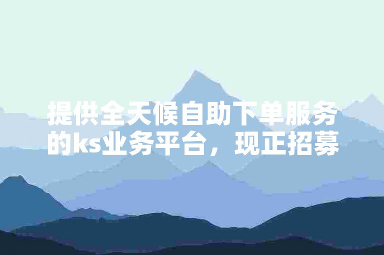 提供全天候自助下单服务的ks业务平台，现正招募代理以低价促进销售。