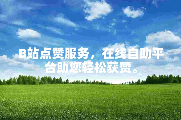 B站点赞服务，在线自助平台助您轻松获赞。