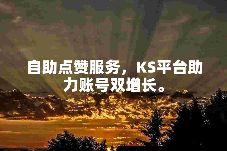 自助点赞服务，KS平台助力账号双增长。