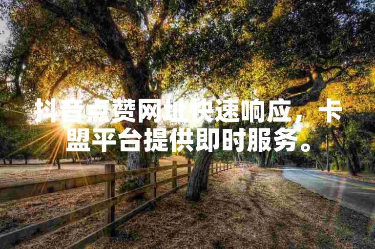抖音点赞网址快速响应，卡盟平台提供即时服务。