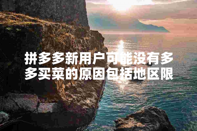 拼多多新用户可能没有多多买菜的原因包括地区限制、账号问题或活动变动，应对策略则涉及检查账号状态、联系客服或关注平台更新。
