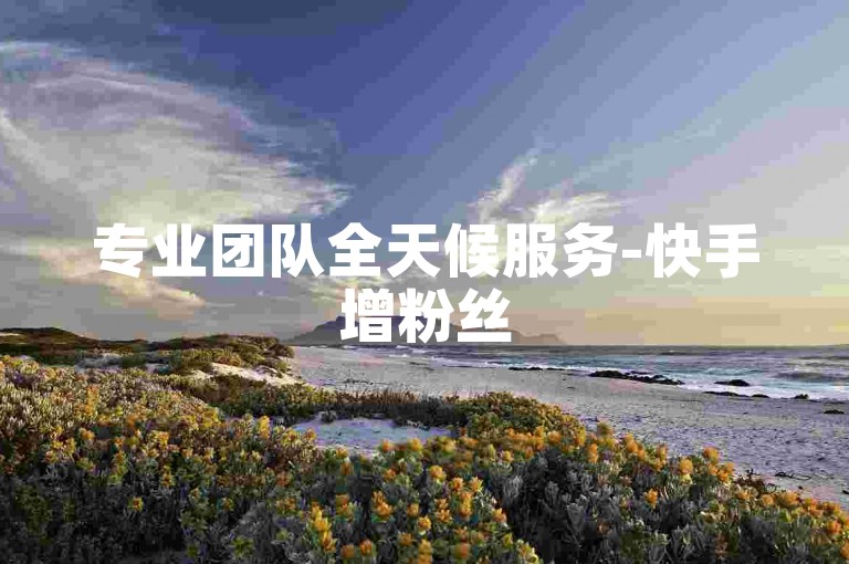 专业团队全天候服务-快手增粉丝