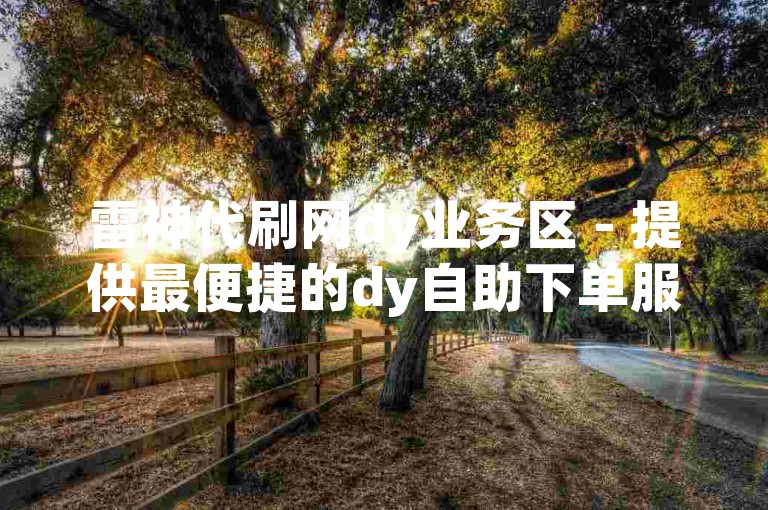 雷神代刷网dy业务区 - 提供最便捷的dy自助下单服务，价格亲民。