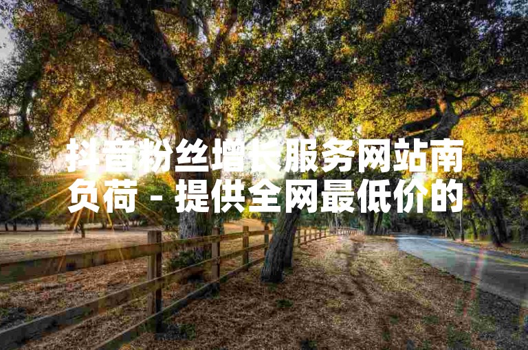 抖音粉丝增长服务网站南负荷 - 提供全网最低价的自助式下单平台。