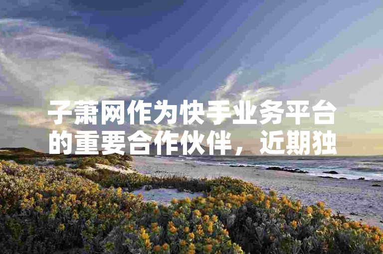 子萧网作为快手业务平台的重要合作伙伴，近期独家披露了一系列关于其众包服务的最新进展，成为2025年学习与关注的重点。