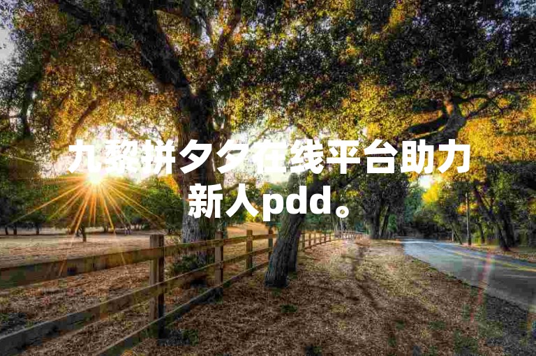九黎拼夕夕在线平台助力新人pdd。