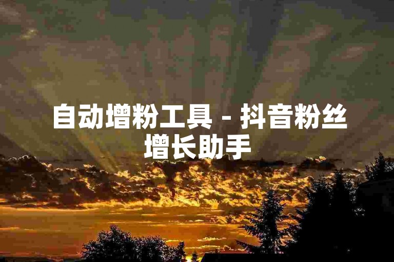 自动增粉工具 - 抖音粉丝增长助手