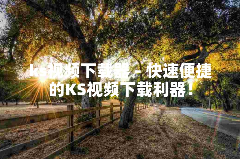 ks视频下载器 - 快速便捷的KS视频下载利器！