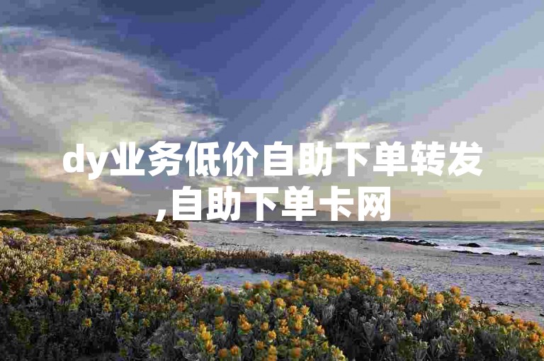 dy业务低价自助下单转发,自助下单卡网