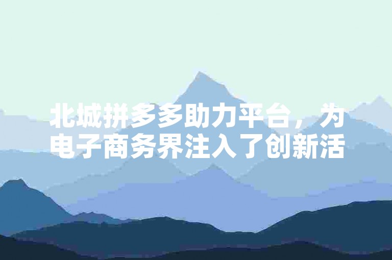北城拼多多助力平台，为电子商务界注入了创新活力。