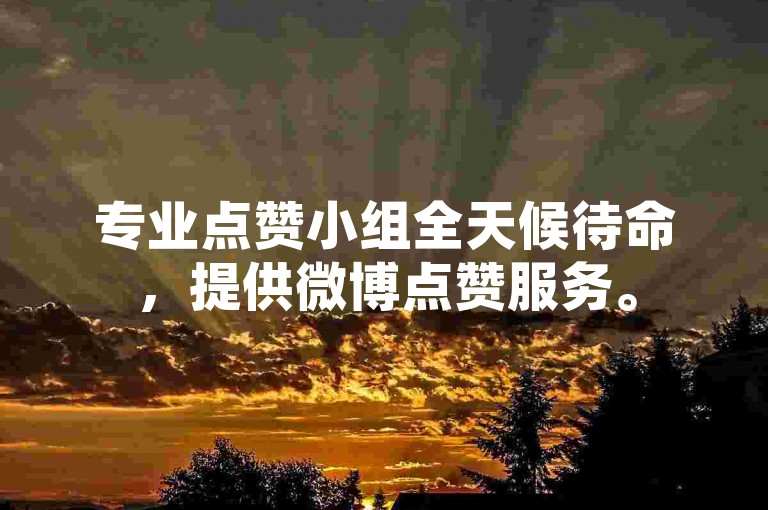 专业点赞小组全天候待命，提供微博点赞服务。