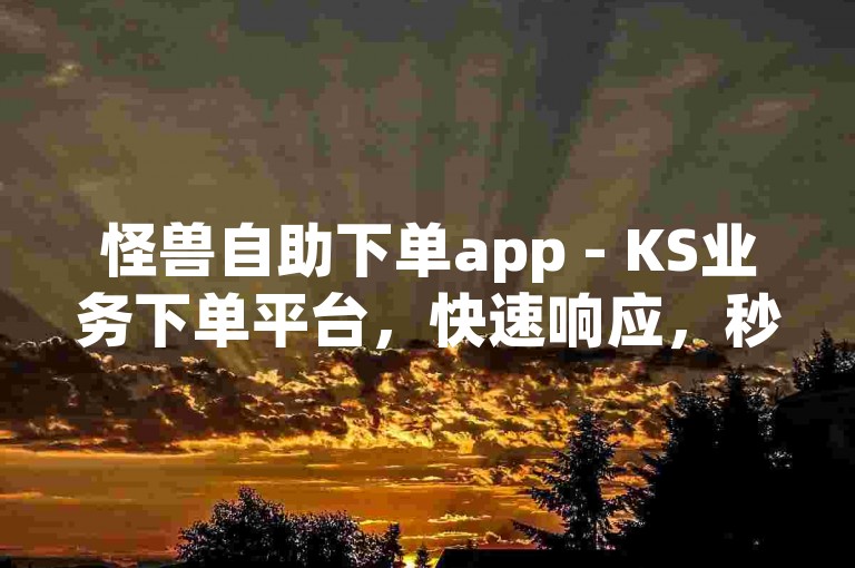怪兽自助下单app - KS业务下单平台，快速响应，秒到服务。