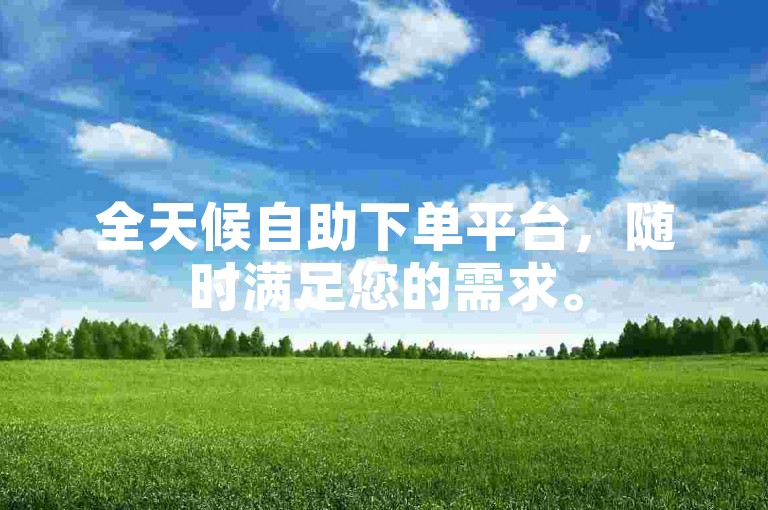 全天候自助下单平台，随时满足您的需求。