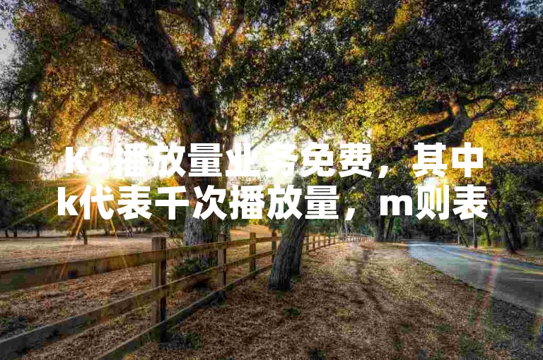 KS播放量业务免费，其中k代表千次播放量，m则表示百万次播放量。