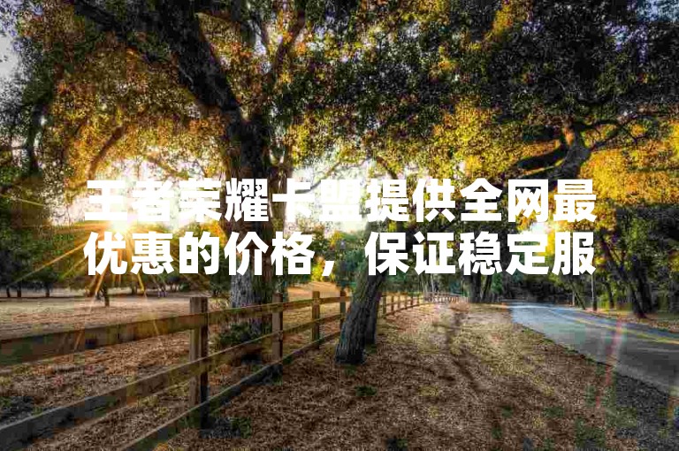 王者荣耀卡盟提供全网最优惠的价格，保证稳定服务。