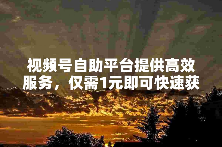 视频号自助平台提供高效服务，仅需1元即可快速获得1000真实粉丝。