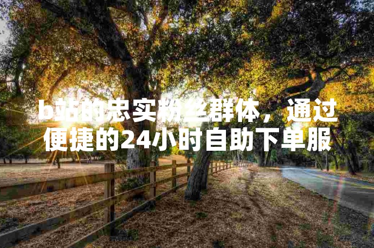 b站的忠实粉丝群体，通过便捷的24小时自助下单服务，享受卡盟提供的多样化业务和专业网站支持。