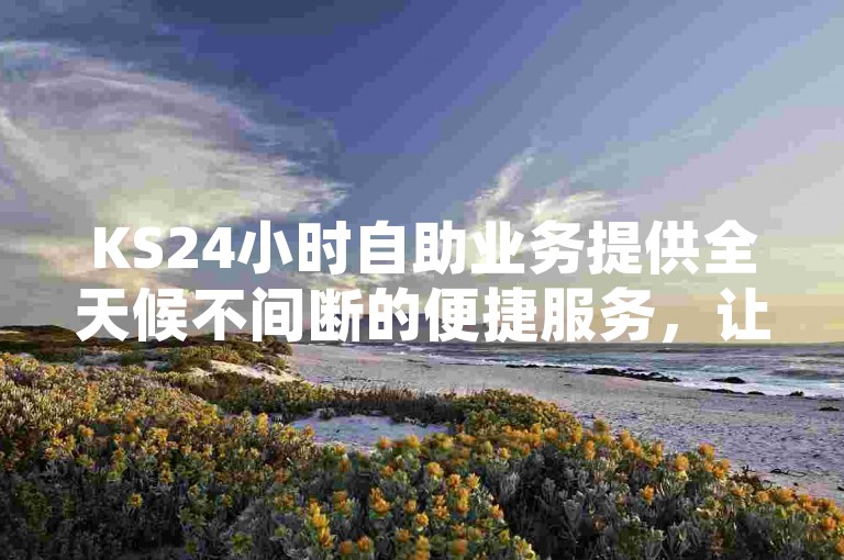 KS24小时自助业务提供全天候不间断的便捷服务，让用户尽享随时随地办理各项事务的优势。