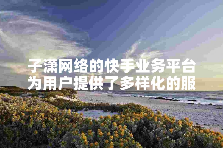 子潇网络的快手业务平台为用户提供了多样化的服务选项。