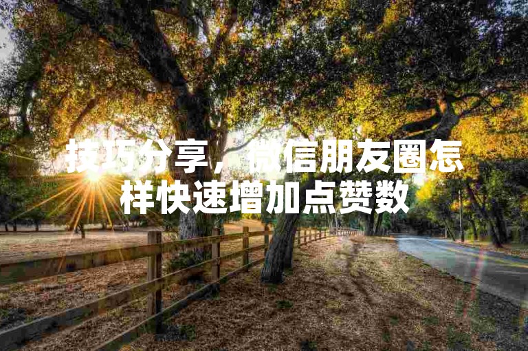技巧分享，微信朋友圈怎样快速增加点赞数
