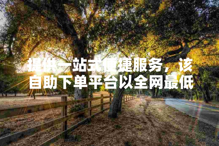 提供一站式便捷服务，该自助下单平台以全网最低的价格吸引用户。