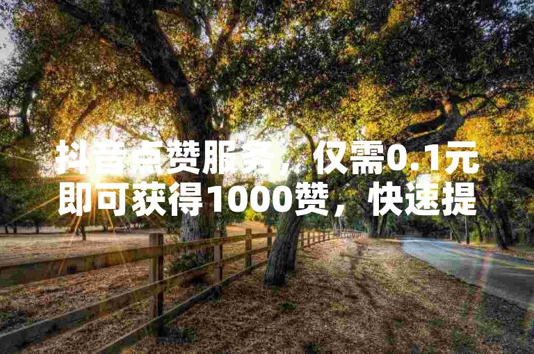 抖音点赞服务，仅需0.1元即可获得1000赞，快速提升您的视频热度。