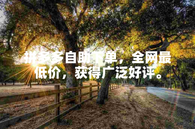 拼多多自助下单，全网最低价，获得广泛好评。