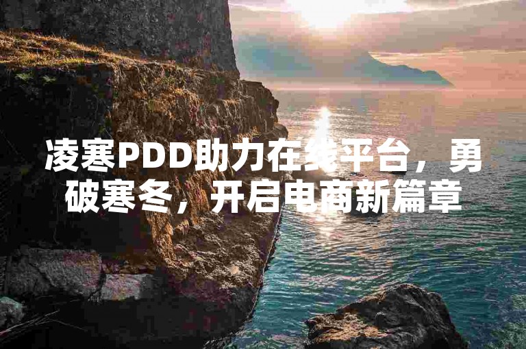 凌寒PDD助力在线平台，勇破寒冬，开启电商新篇章。