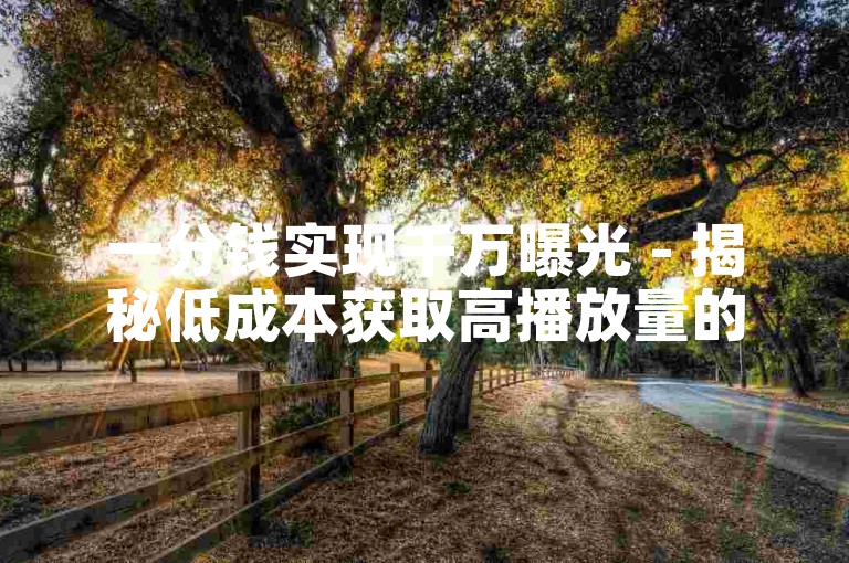 一分钱实现千万曝光 - 揭秘低成本获取高播放量的独家技巧！