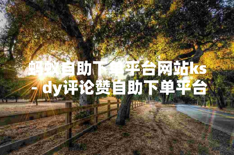 蚂蚁自助下单平台网站ks - dy评论赞自助下单平台，提供便捷的在线服务。