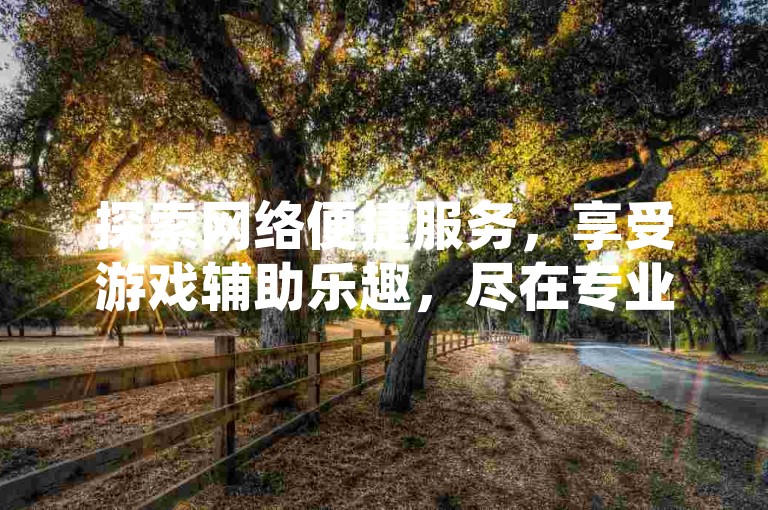 探索网络便捷服务，享受游戏辅助乐趣，尽在专业卡盟平台。