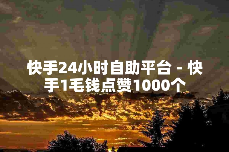 快手24小时自助平台 - 快手1毛钱点赞1000个