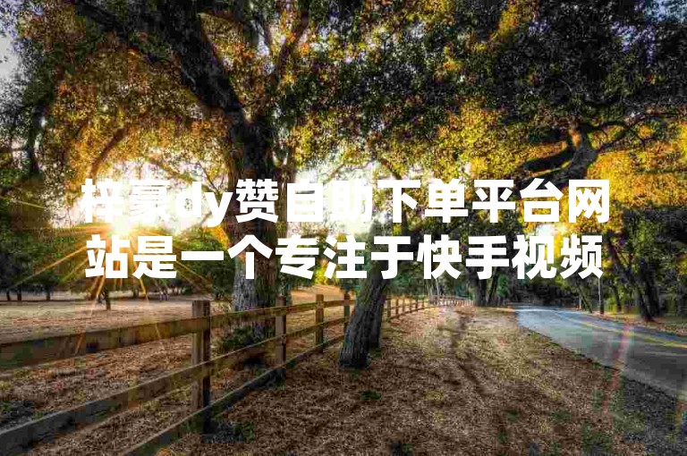 梓豪dy赞自助下单平台网站是一个专注于快手视频点赞增长的服务平台。