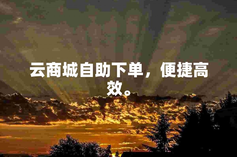 云商城自助下单，便捷高效。