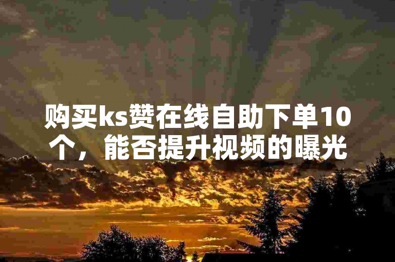 购买ks赞在线自助下单10个，能否提升视频的曝光度和热度？
