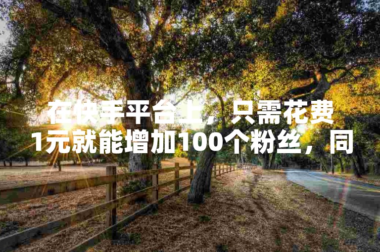 在快手平台上，只需花费1元就能增加100个粉丝，同时还能获得作品的点赞服务。