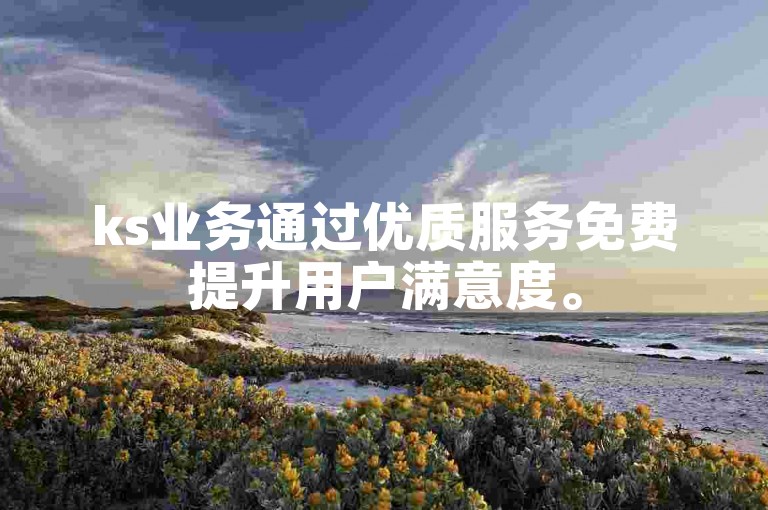 ks业务通过优质服务免费提升用户满意度。