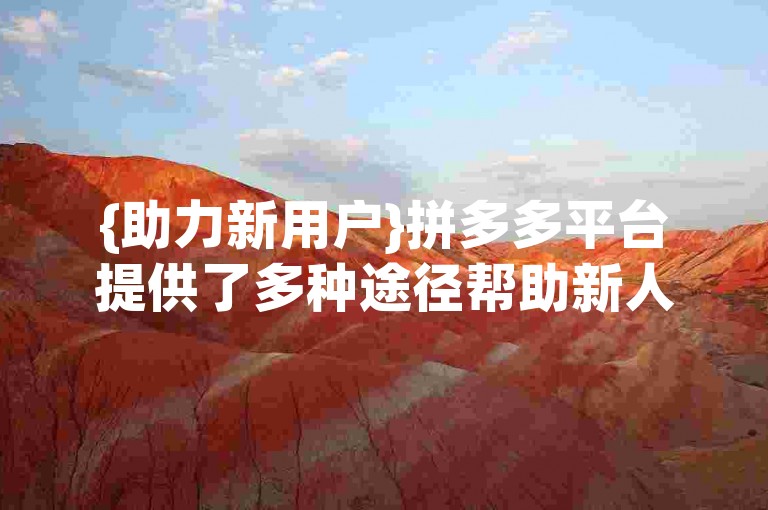 {助力新用户}拼多多平台提供了多种途径帮助新人快速上手。