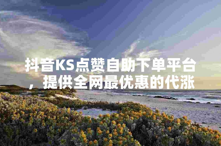 抖音KS点赞自助下单平台，提供全网最优惠的代涨服务。