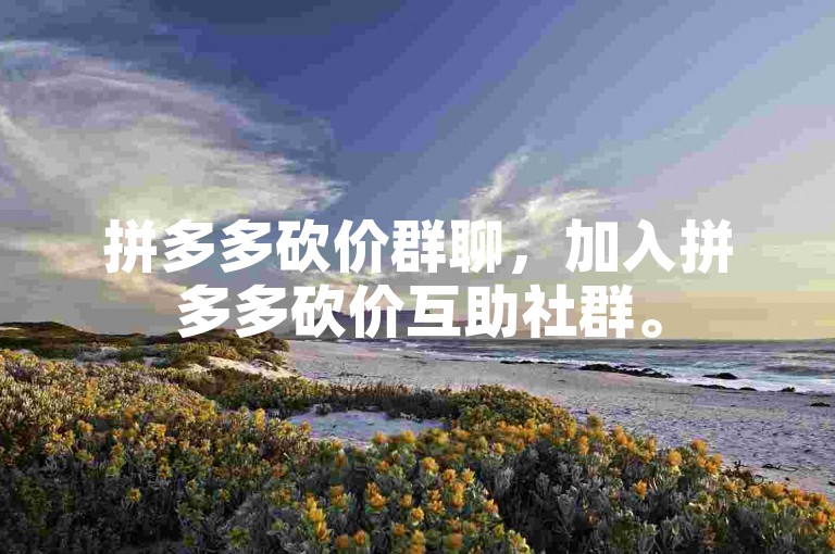拼多多砍价群聊，加入拼多多砍价互助社群。