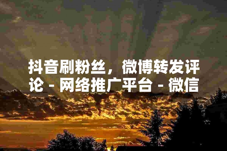 抖音刷粉丝，微博转发评论 - 网络推广平台 - 微信点赞5毛1000次。