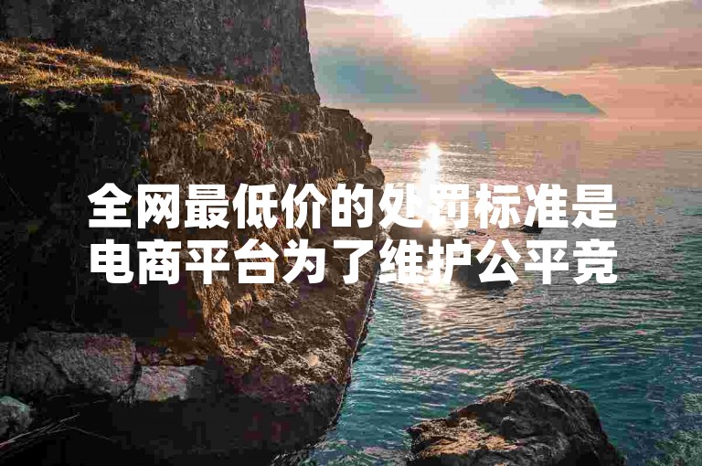 全网最低价的处罚标准是电商平台为了维护公平竞争环境而设立的一套规则，旨在防止商家通过不正当手段获取竞争优势。