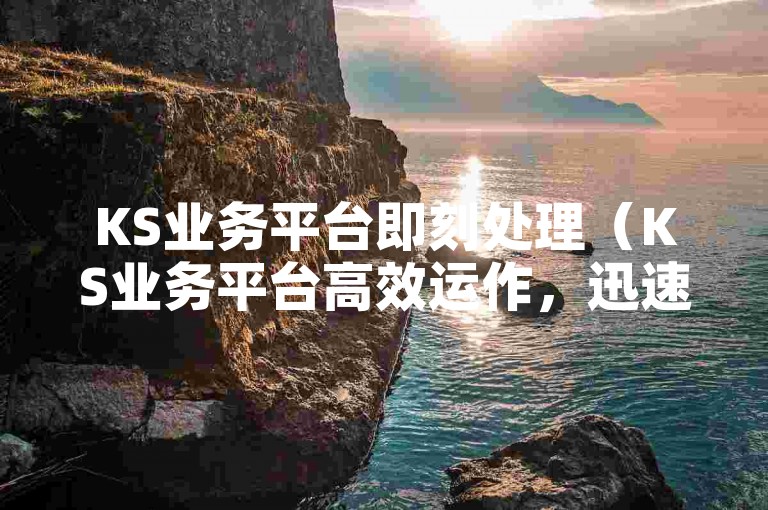 KS业务平台即刻处理（KS业务平台高效运作，迅速完成）