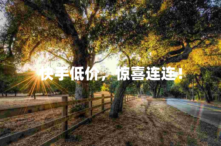 快手低价，惊喜连连！