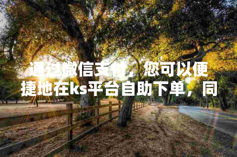 通过微信支付，您可以便捷地在ks平台自助下单，同时，dy自助下单app也提供了流畅的购物体验。