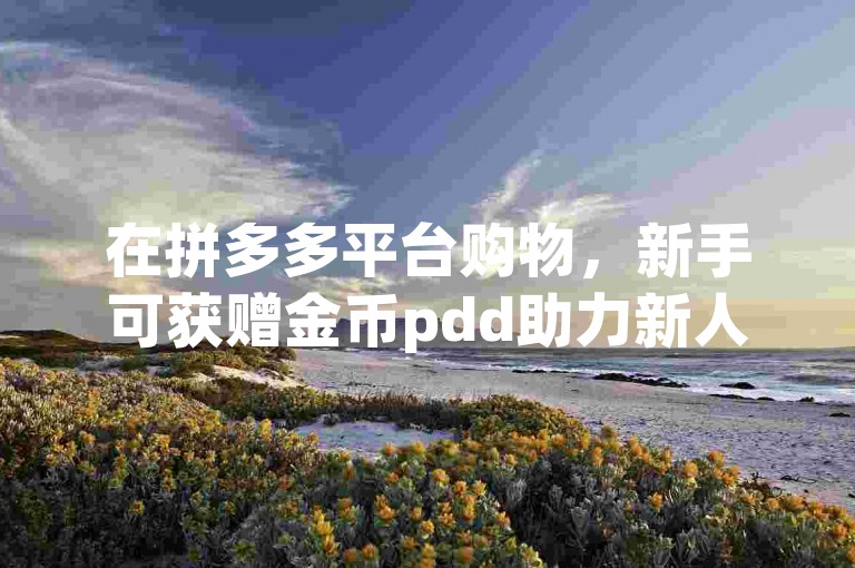 在拼多多平台购物，新手可获赠金币pdd助力新人。