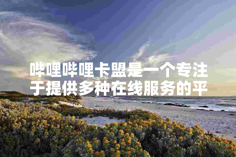 哔哩哔哩卡盟是一个专注于提供多种在线服务的平台，其中包括针对快手（ks）用户的业务下单服务。