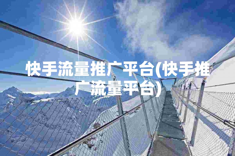 快手流量推广平台(快手推广流量平台)