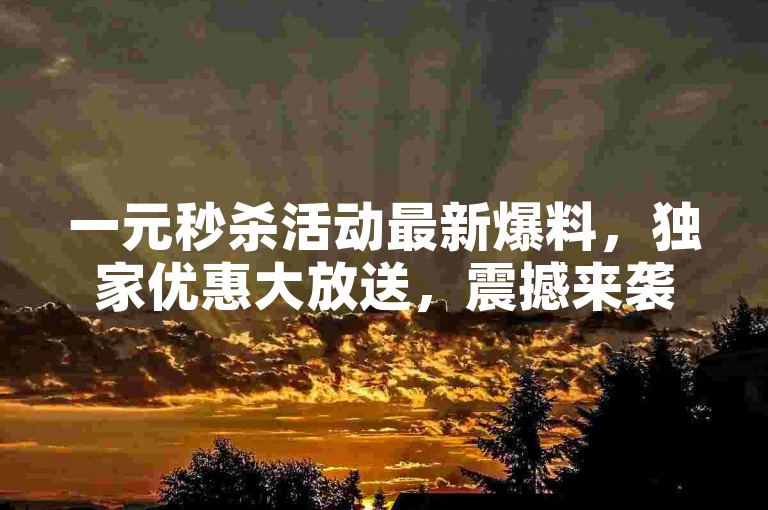 一元秒杀活动最新爆料，独家优惠大放送，震撼来袭不容错过！2024年必备技能。